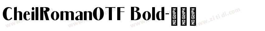 CheilRomanOTF Bold字体转换